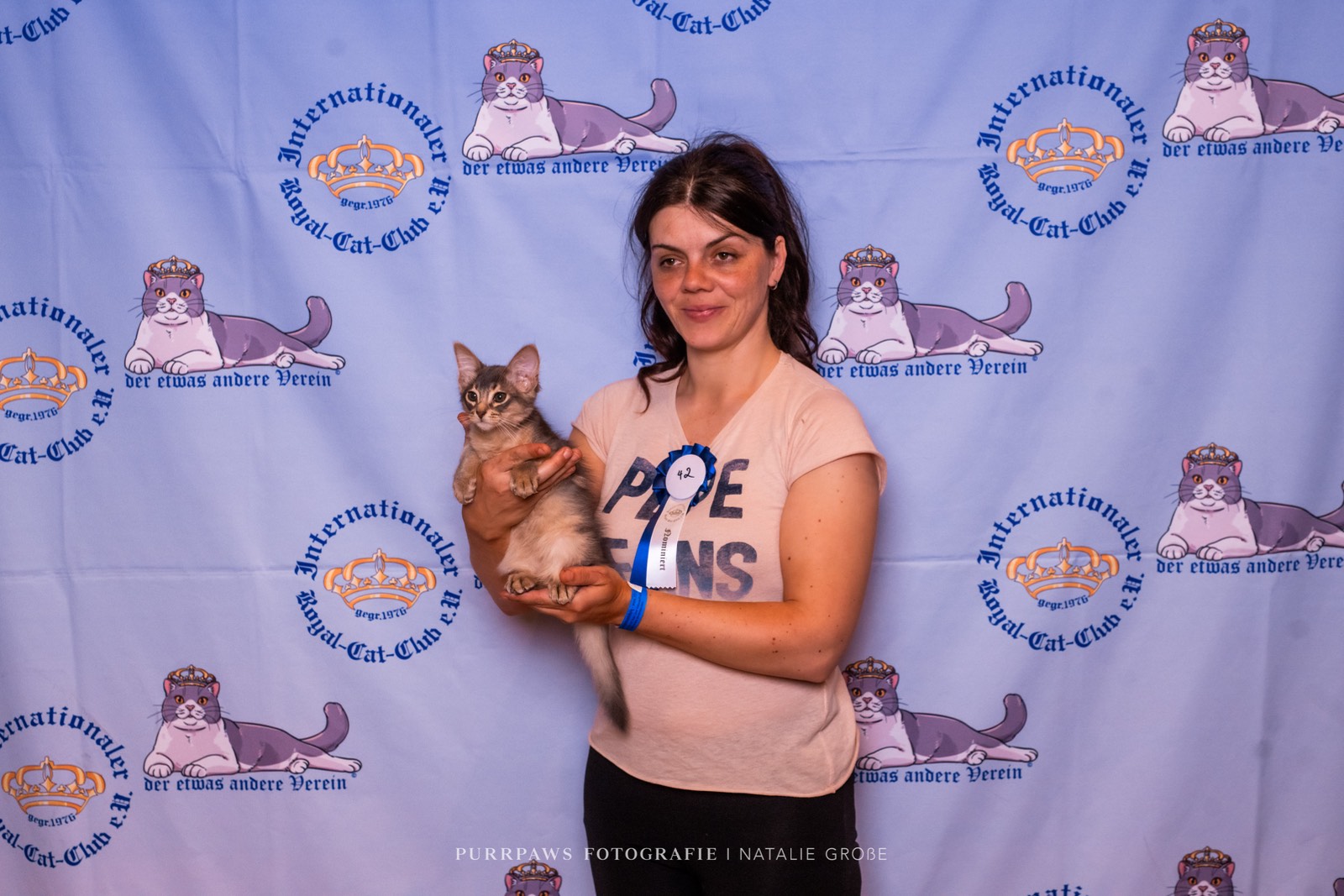 Nevermore Berlioz – Somali Kitten, Blue – Foto 16